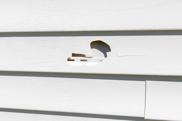 Best Storm Damage Siding Repair  in Kearney, MO